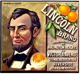 Lincoln Orange
