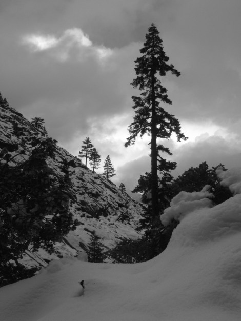 Yosemite & San Diego May 2011 139