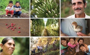 Agros_hero_520_320_c1_center_top